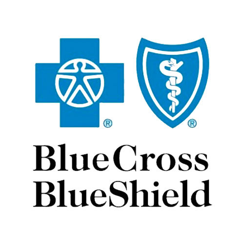 Blue Cross Blue Shield